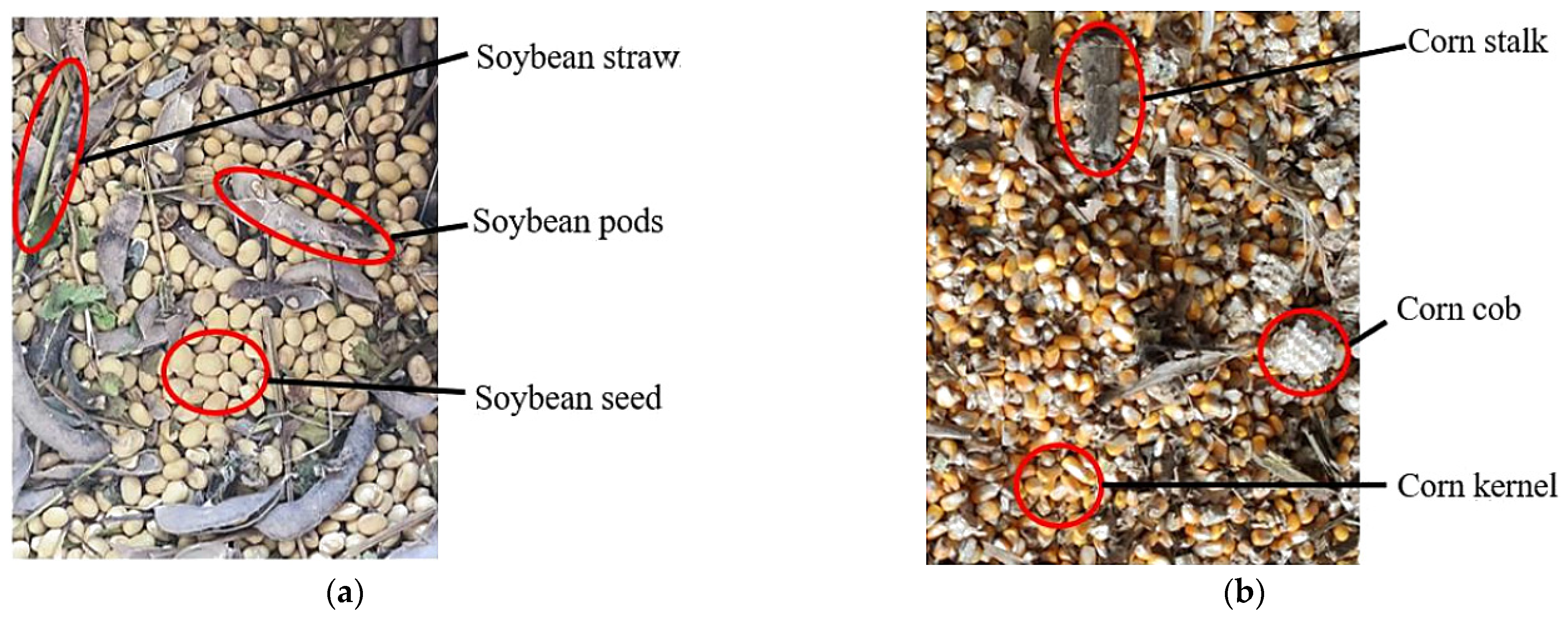 Sensors 25 06695 g021