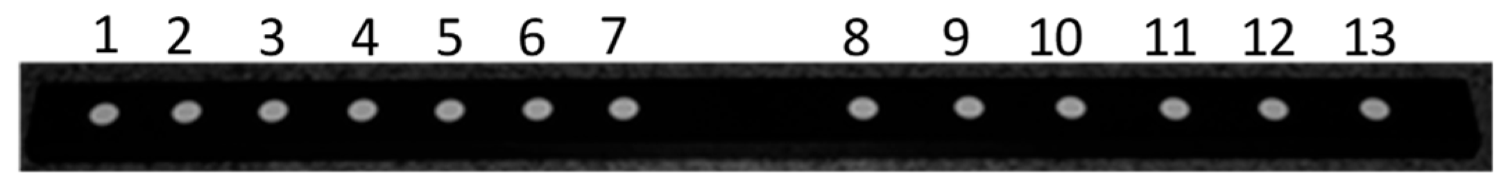 Sensors 25 06715 g011