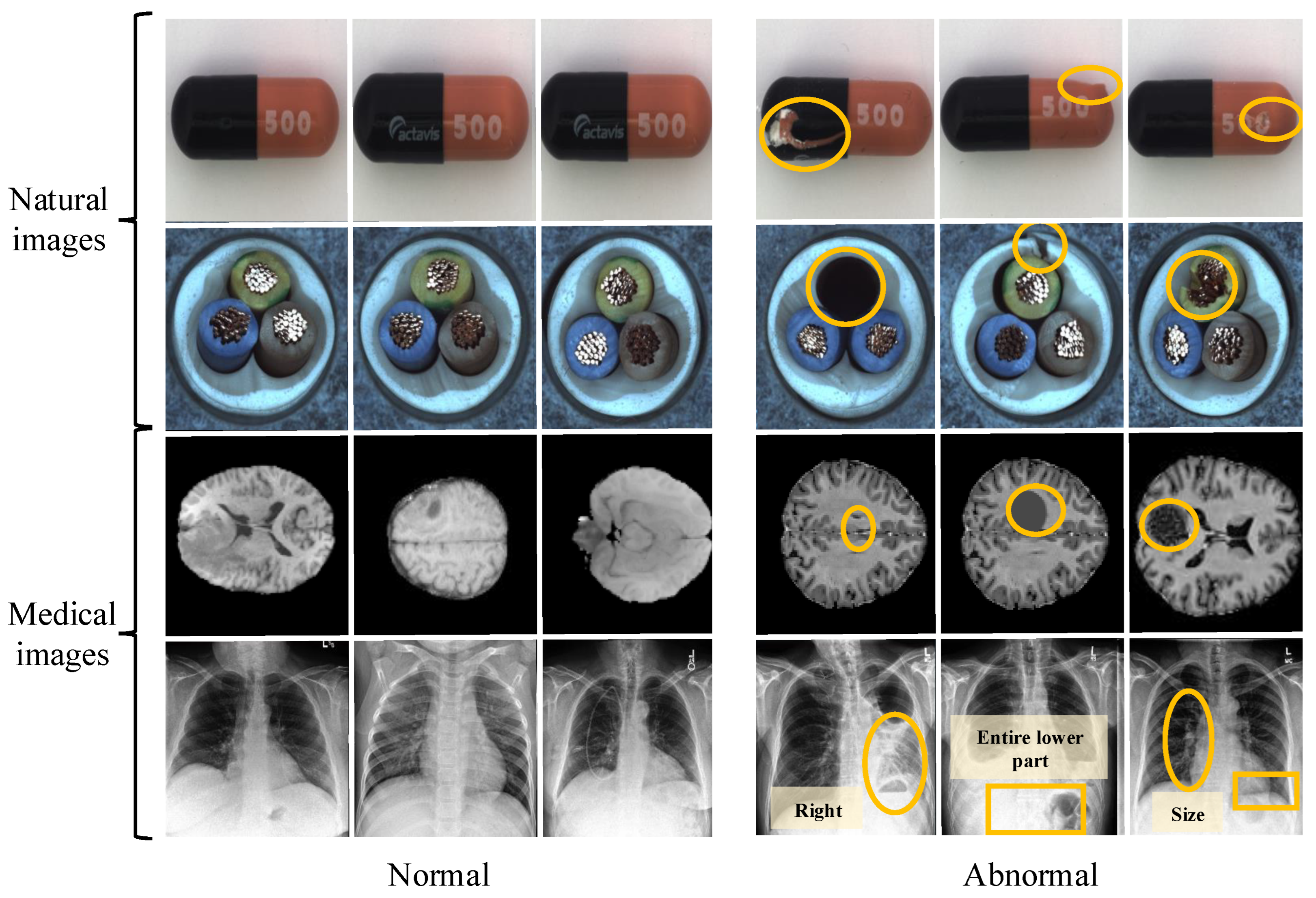Sensors 25 06722 g001 Sensors 25 06722 g001
