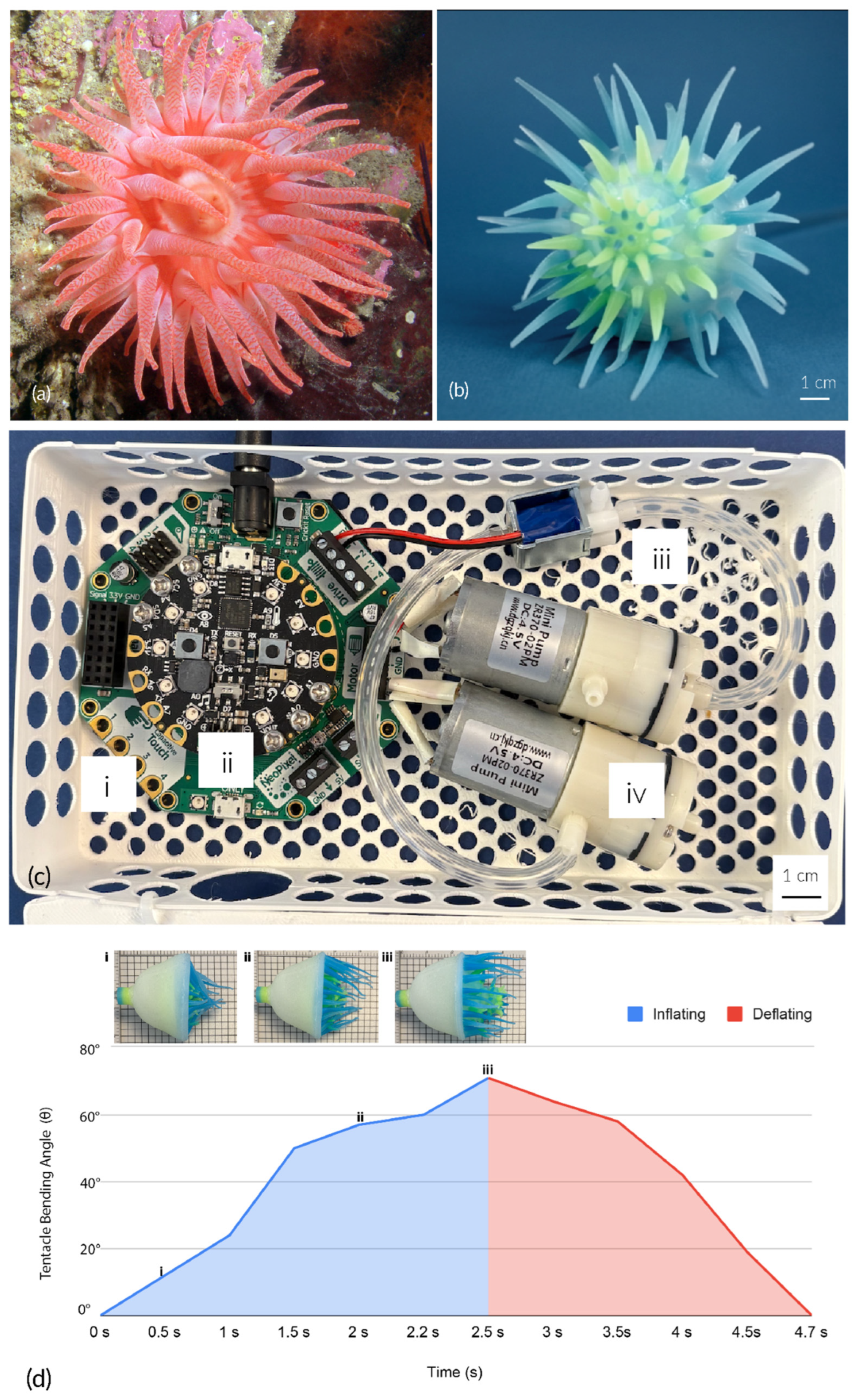 Sensors 25 06780 g001