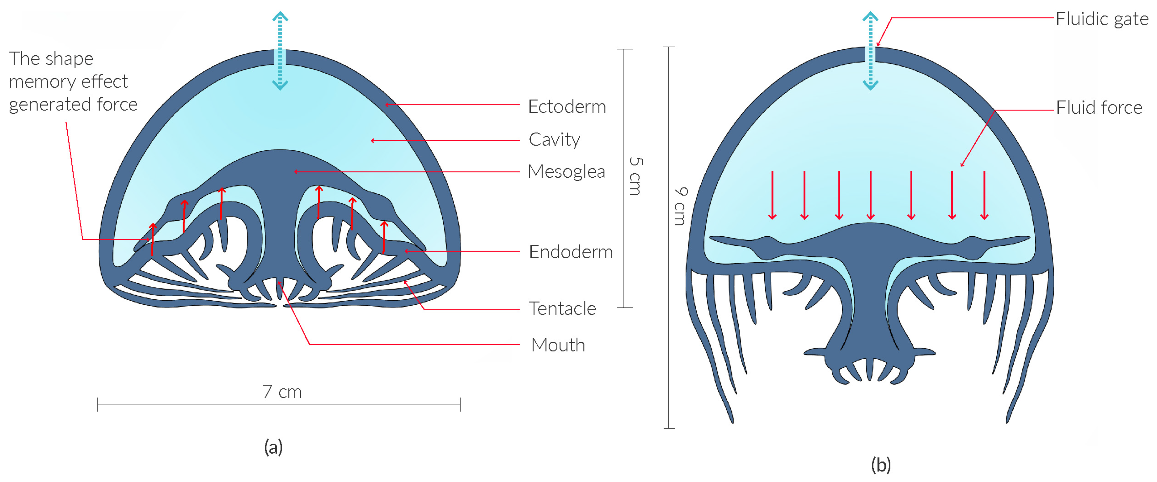 Sensors 25 06780 g003