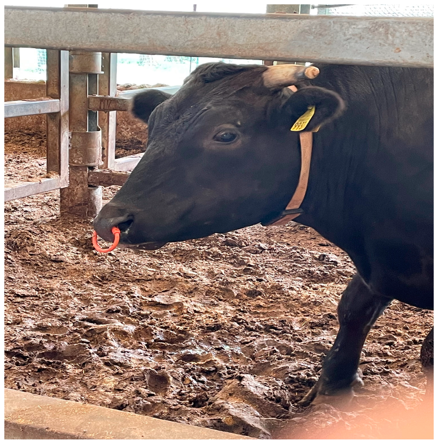 Sensors 25 06781 g002