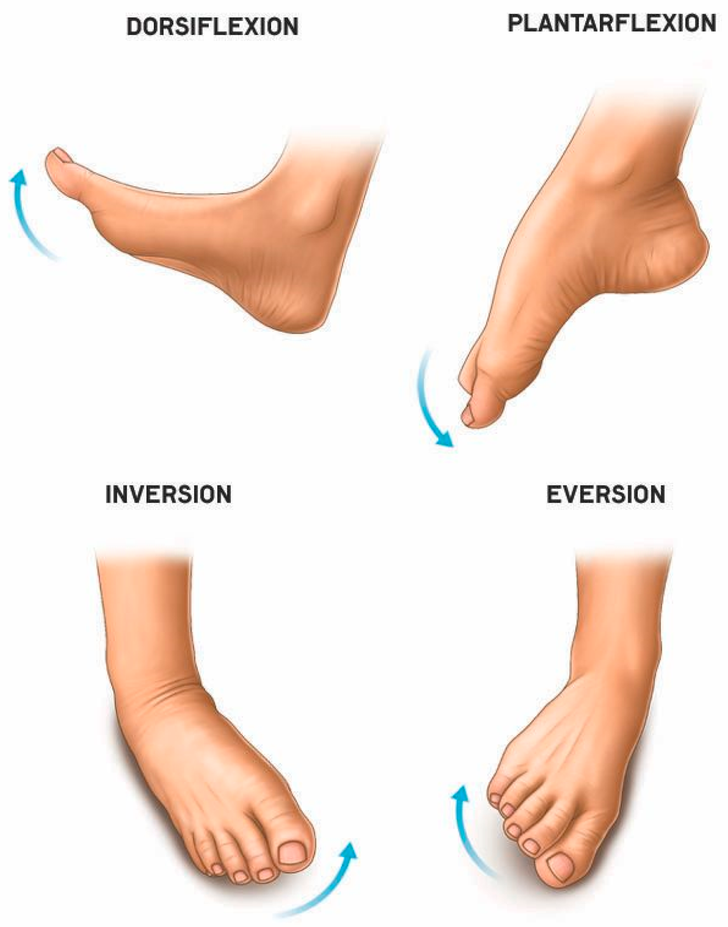 Sensors 25 06784 g001