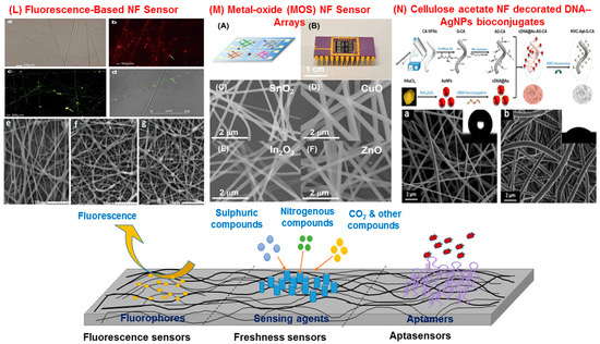 Sensors 25 06947 g002