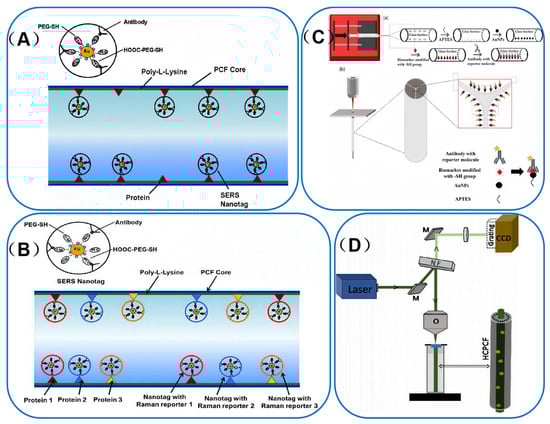 Sensors 25 06982 g007