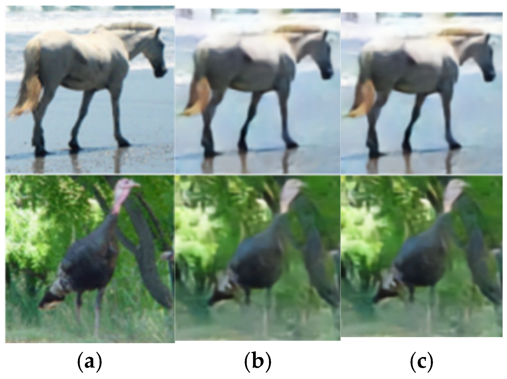 Sensors 25 07201 g015