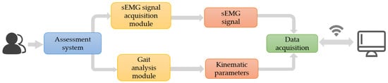 Design of the knee osteoarthritis assessment system.