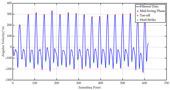 Gait cycle processing result.