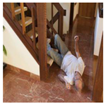 Sensors 25 07394 i003 Sensors 25 07394 i003