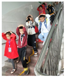 Sensors 25 07394 i005 Sensors 25 07394 i005