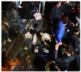 Sensors 25 07394 i012 Sensors 25 07394 i012