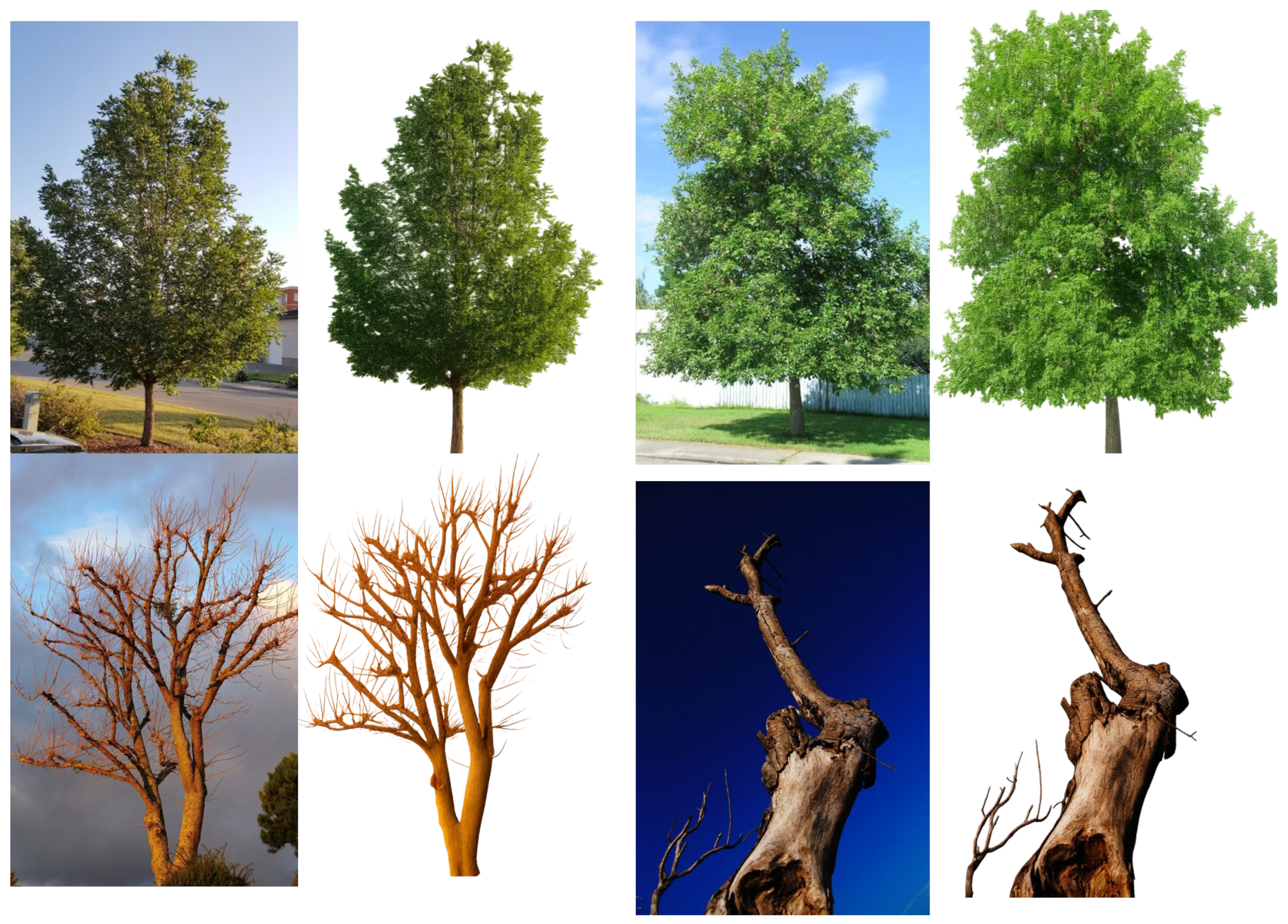 Sensors 26 00007 g003