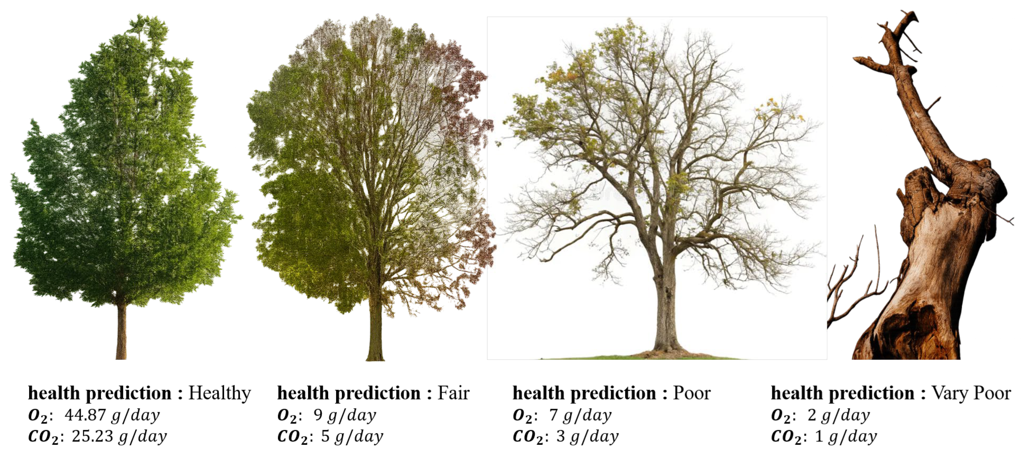 Sensors 26 00007 g005
