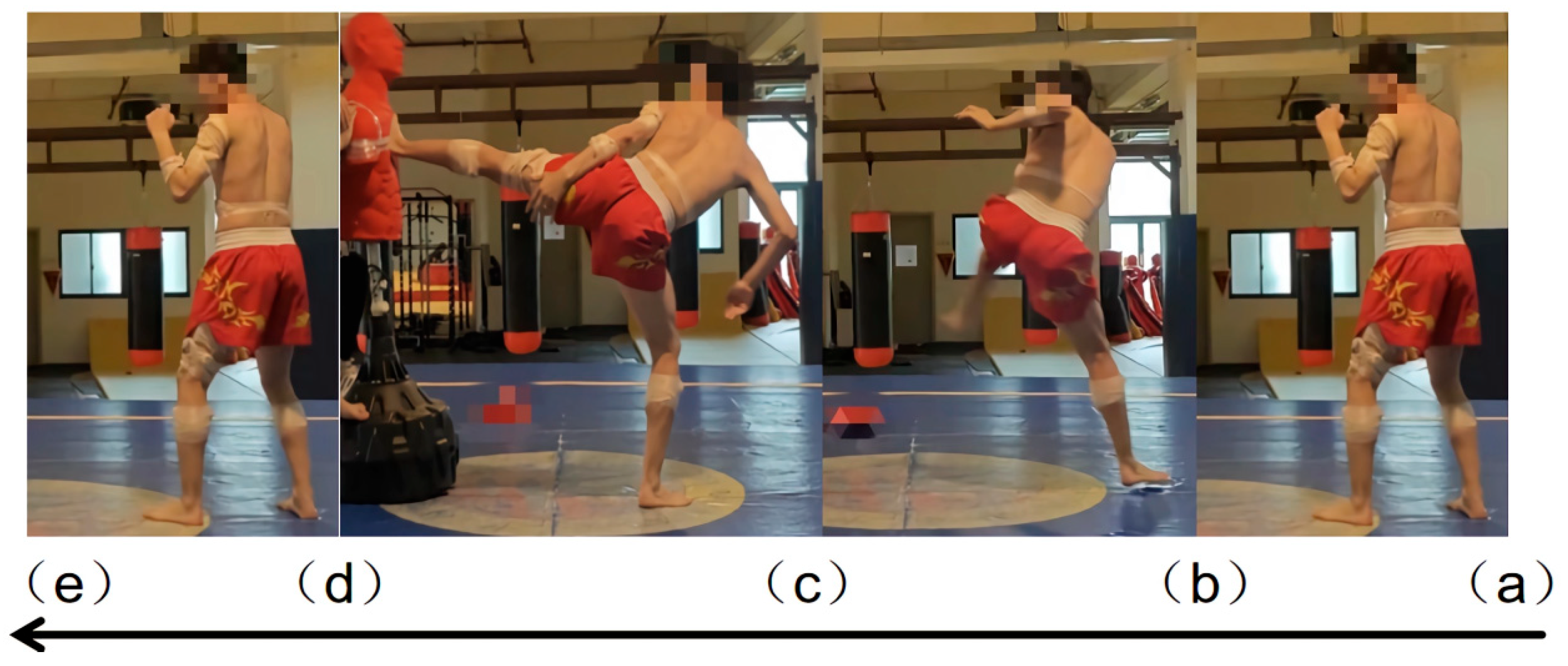 Synergy Movements Muscle Synergy Analysis of Different PAPE Protocols on Side Kick ...
