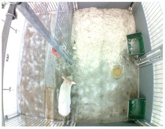 Sensors 26 00402 g0a3