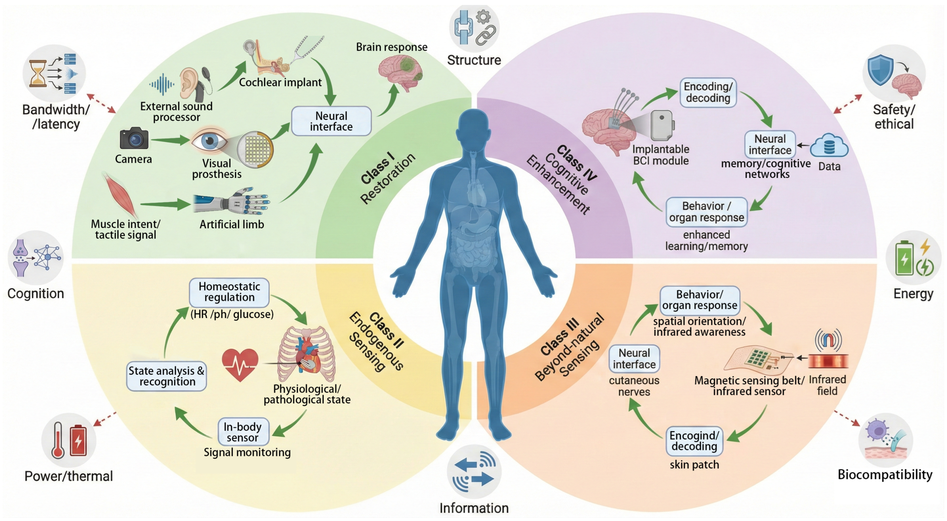 Sensors 26 00576 g001