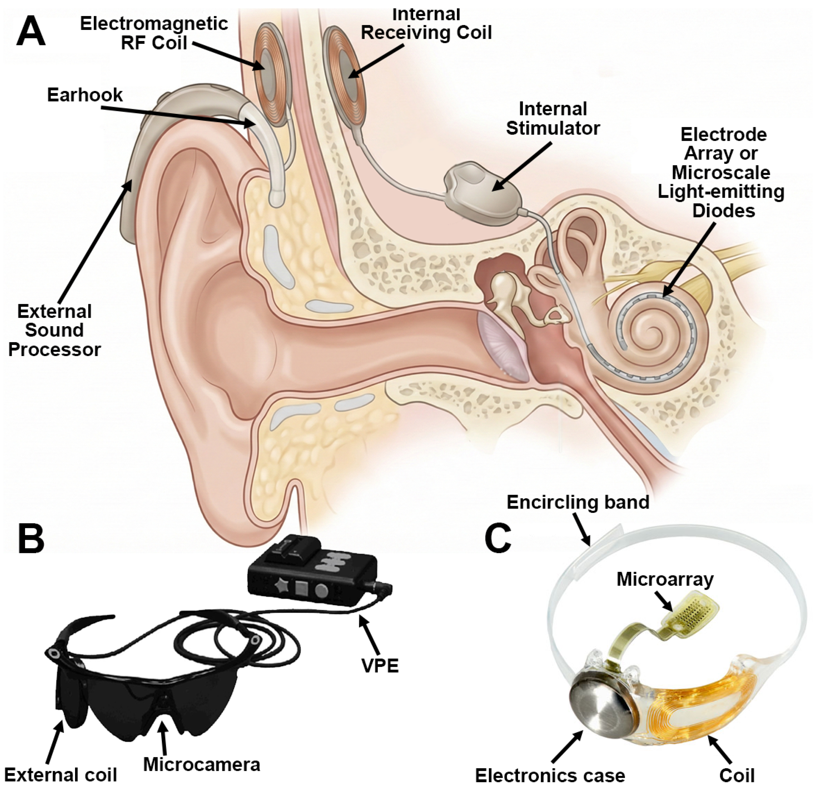 Sensors 26 00576 g002