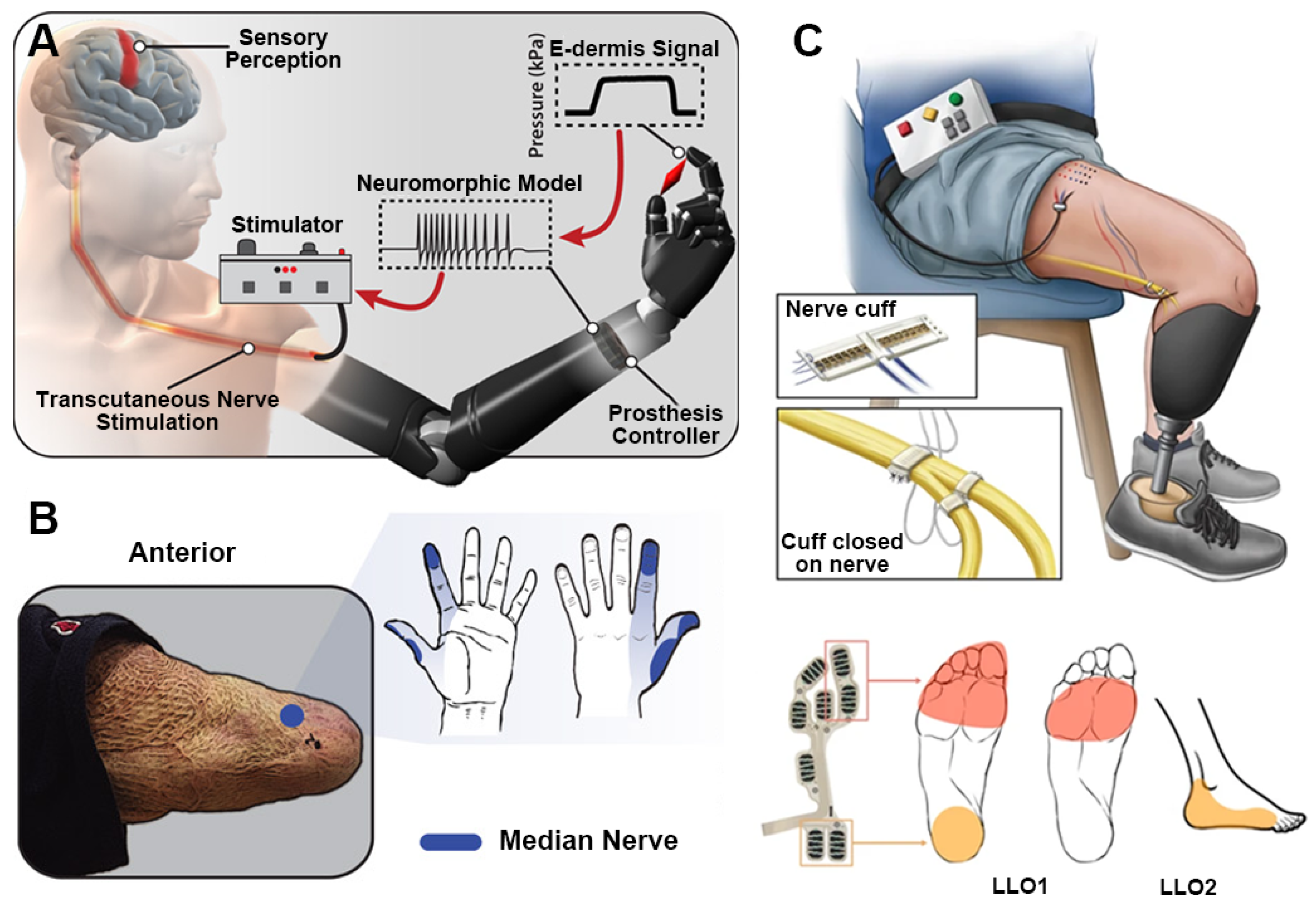 Sensors 26 00576 g004