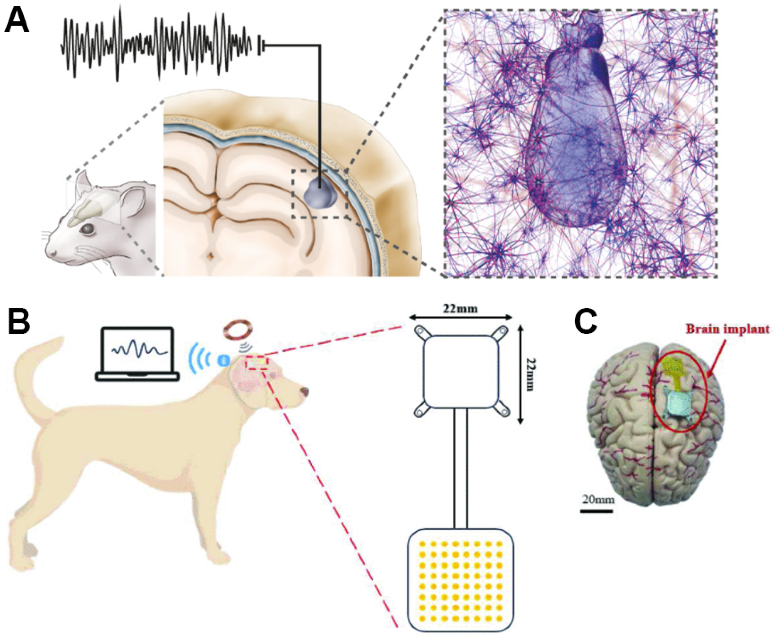 Sensors 26 00576 g007