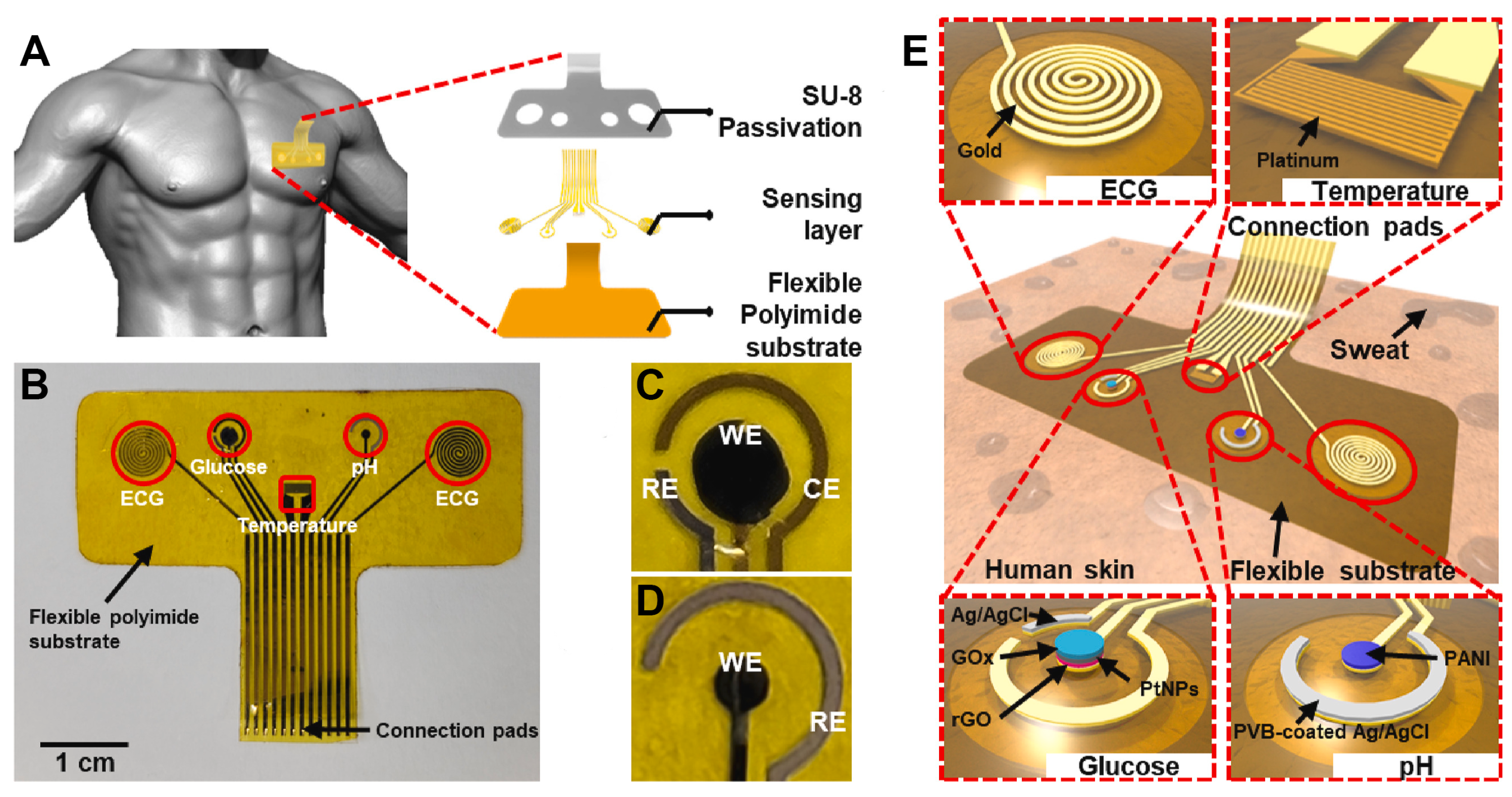Sensors 26 00576 g008