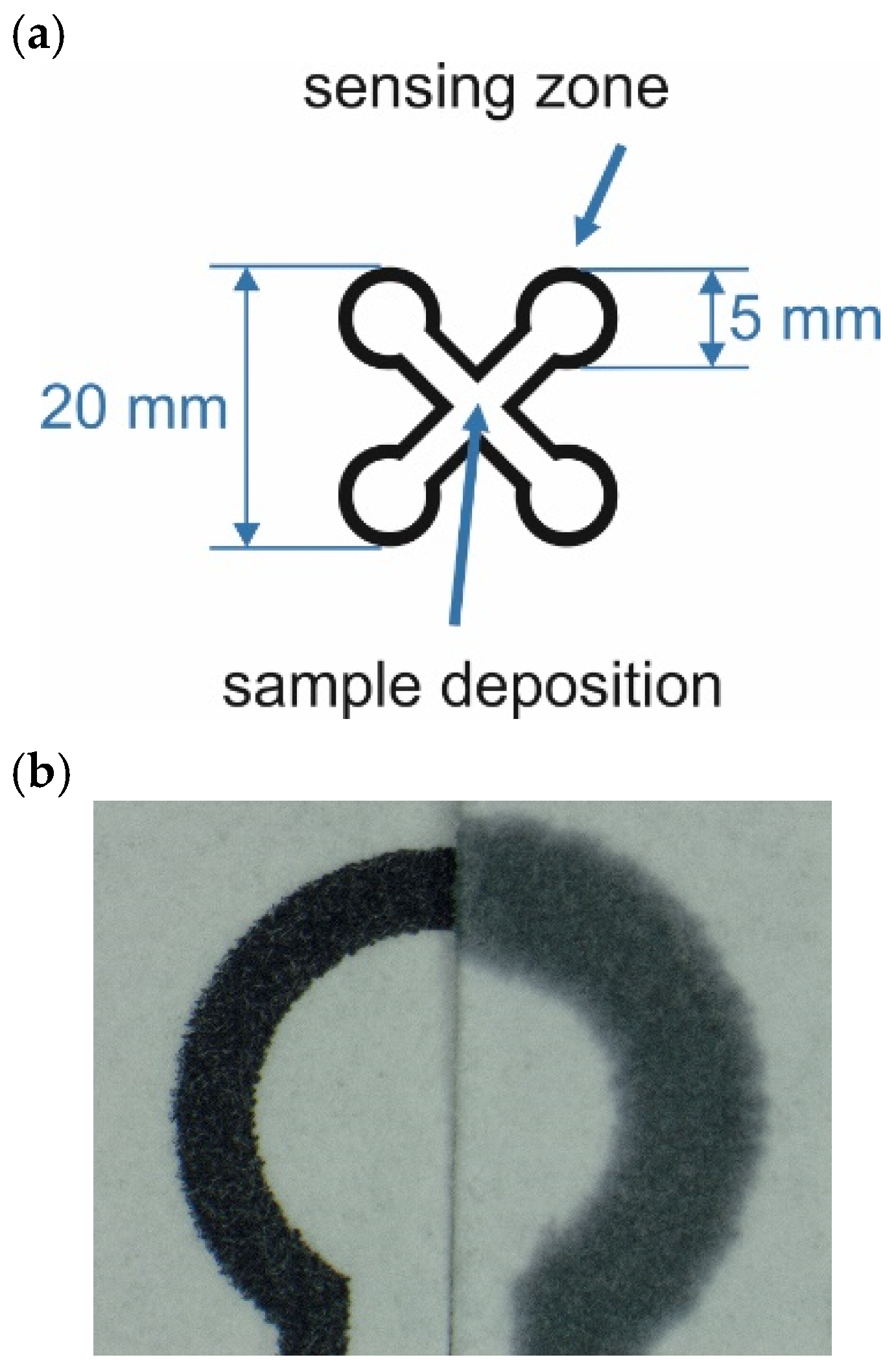 Sensors 26 00904 g001