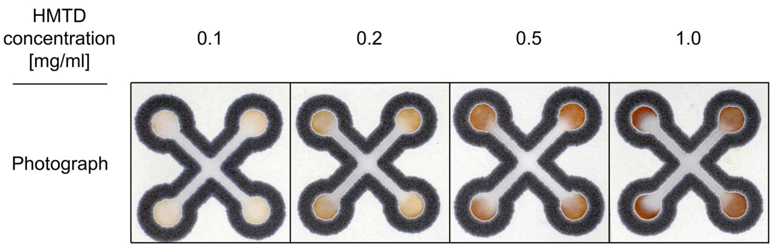 Sensors 26 00904 g003