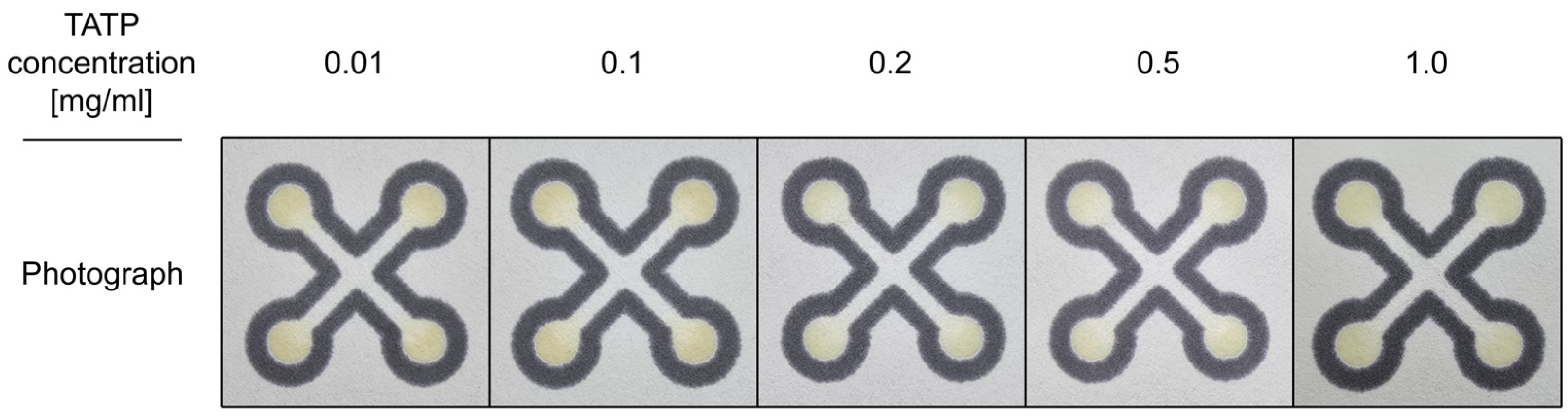 Sensors 26 00904 g006