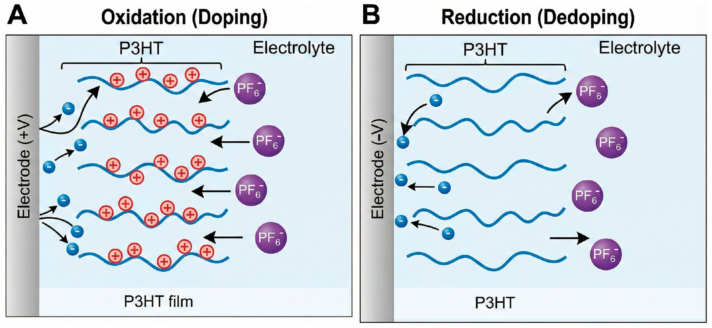 Sensors 26 00908 g002