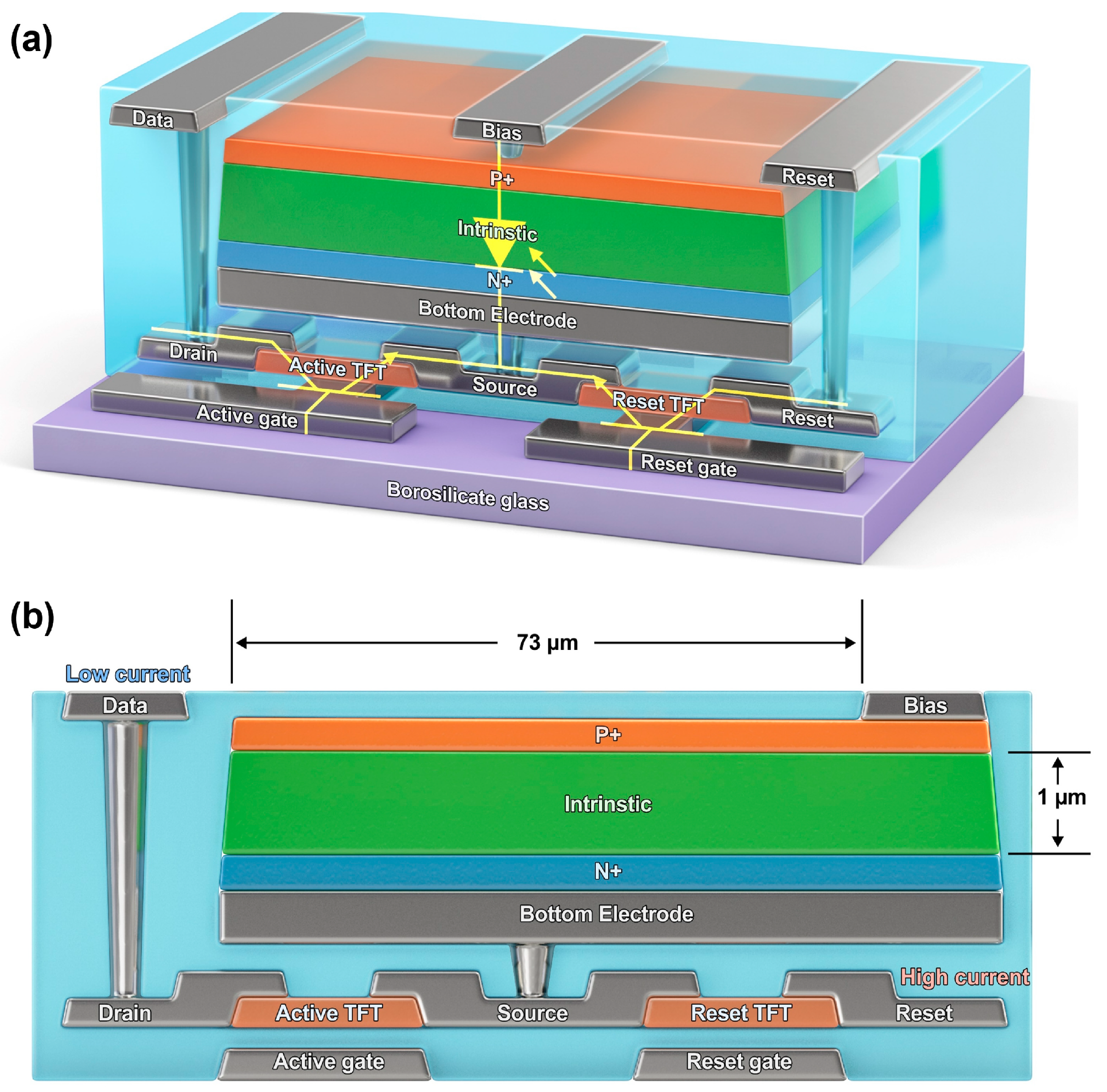 Sensors 26 00929 g001 Sensors 26 00929 g001