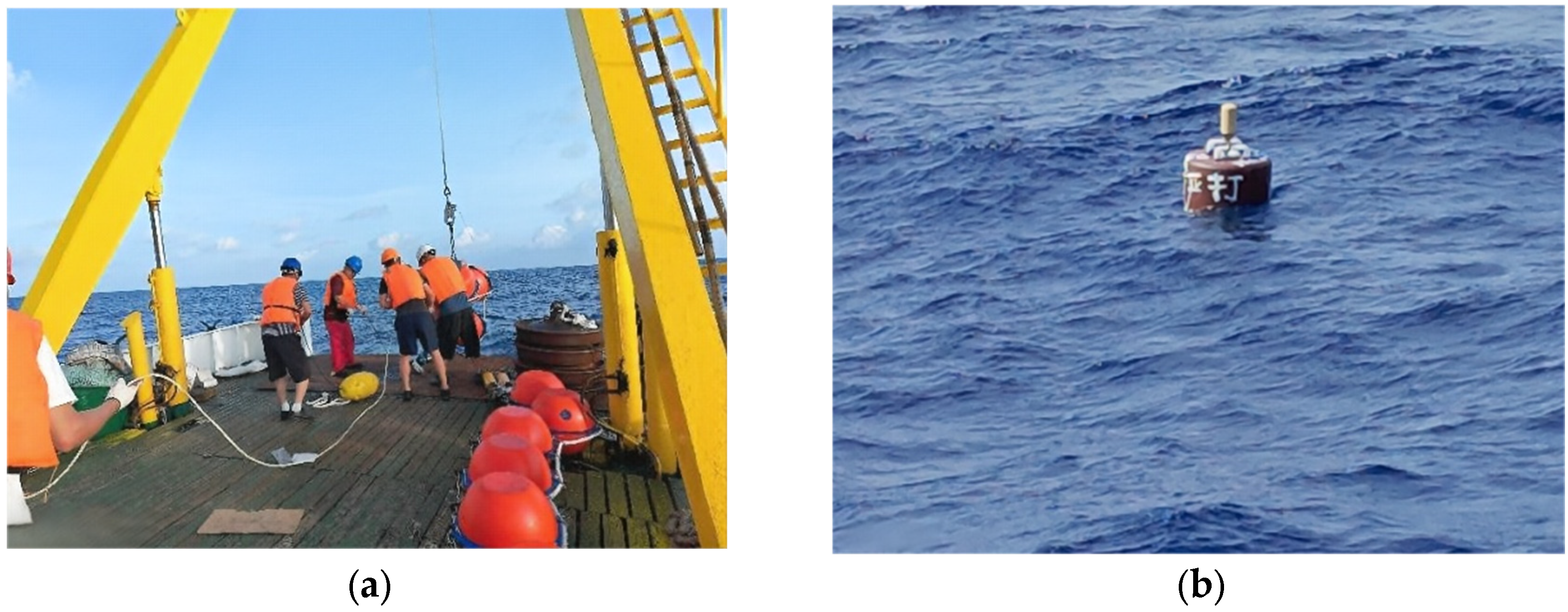 Sensors 26 00937 g004 Sensors 26 00937 g004