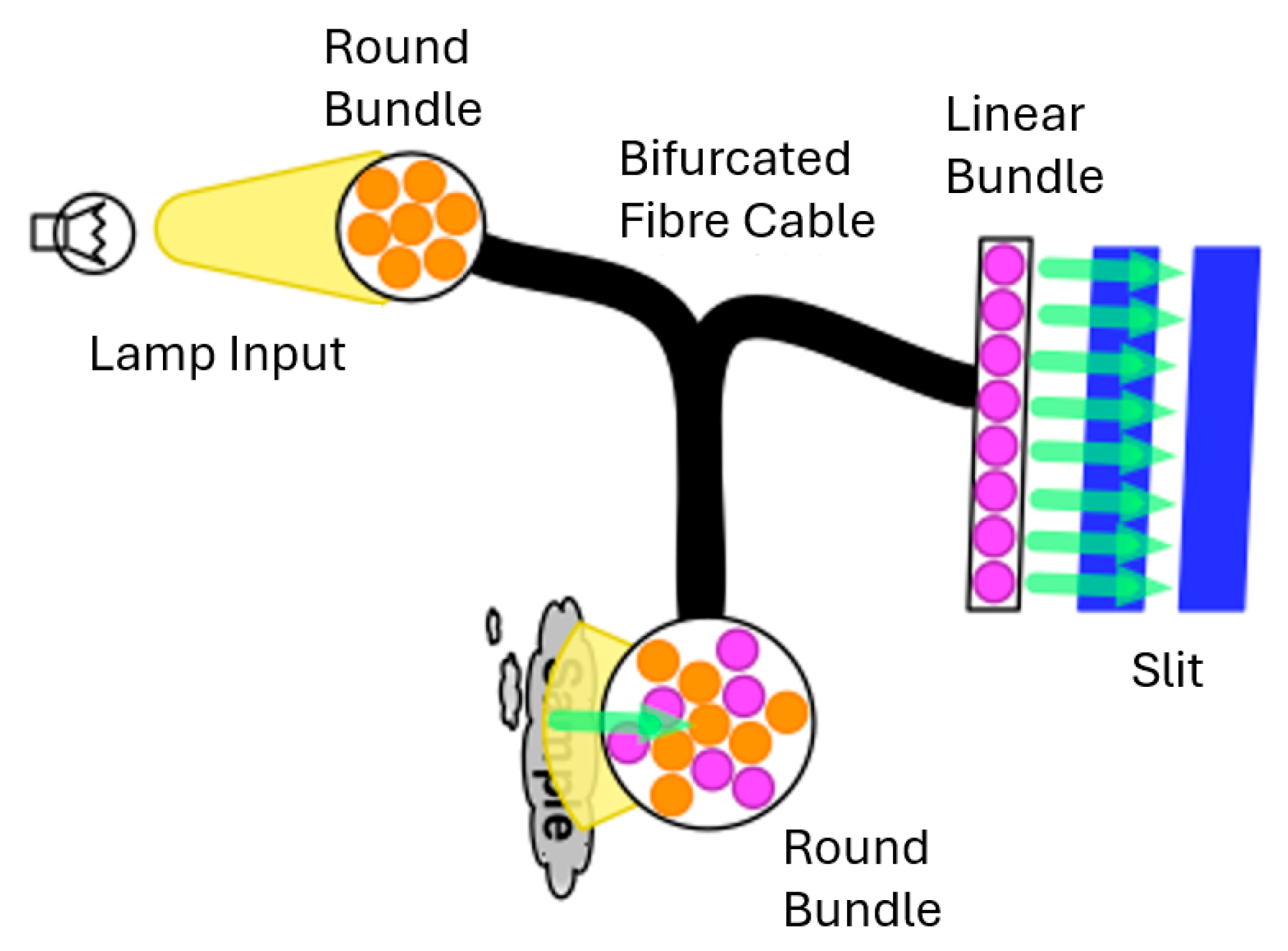 Sensors 26 00989 g003