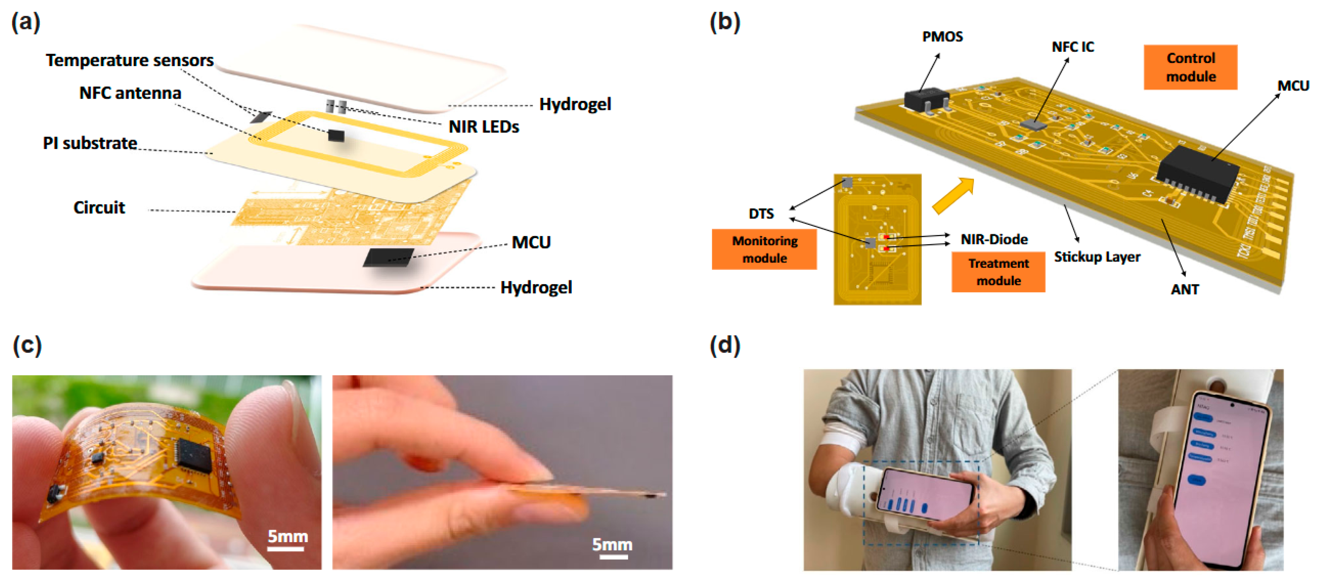 Sensors 26 00989 g006