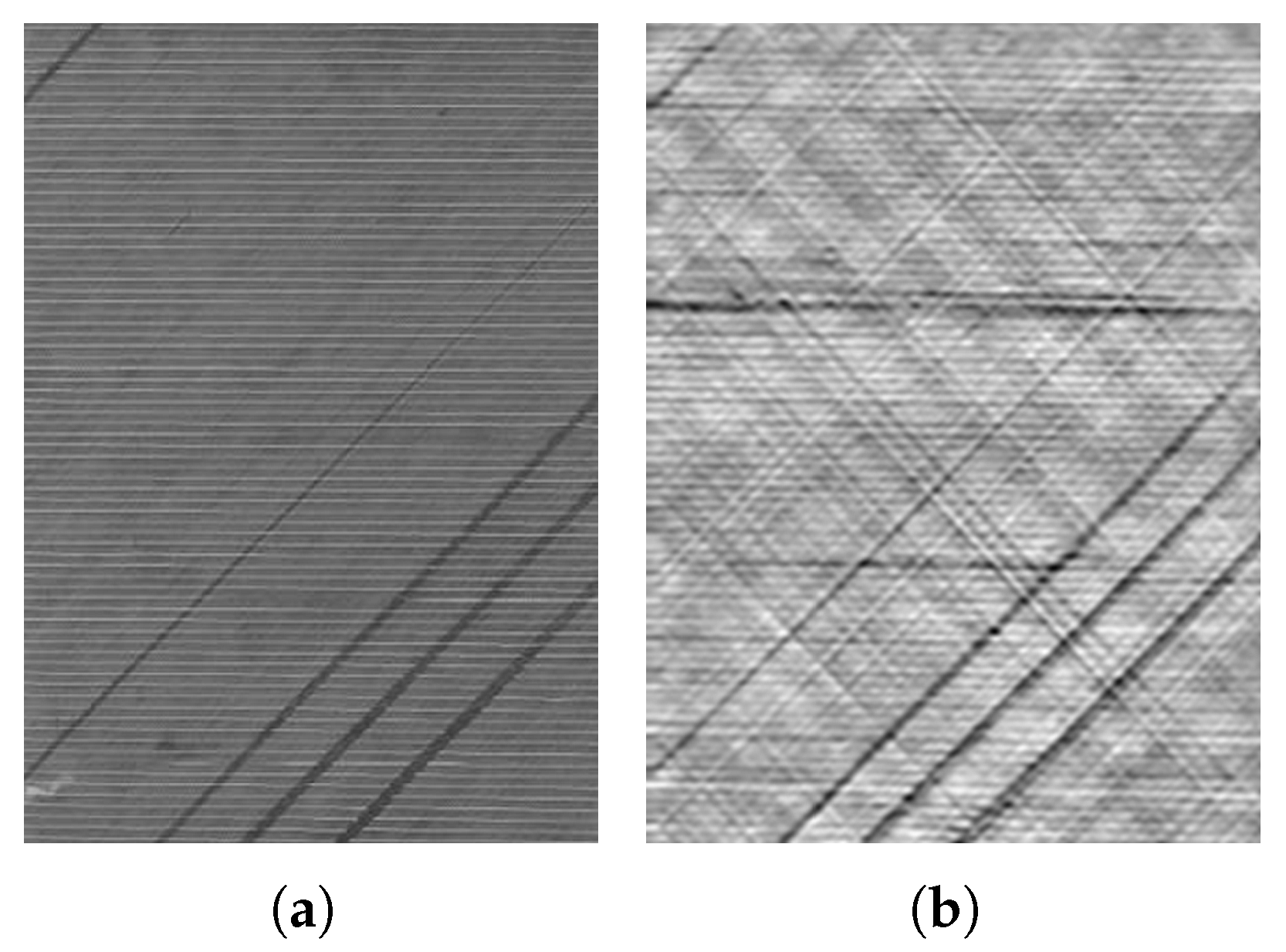 Sensors 26 01032 g001