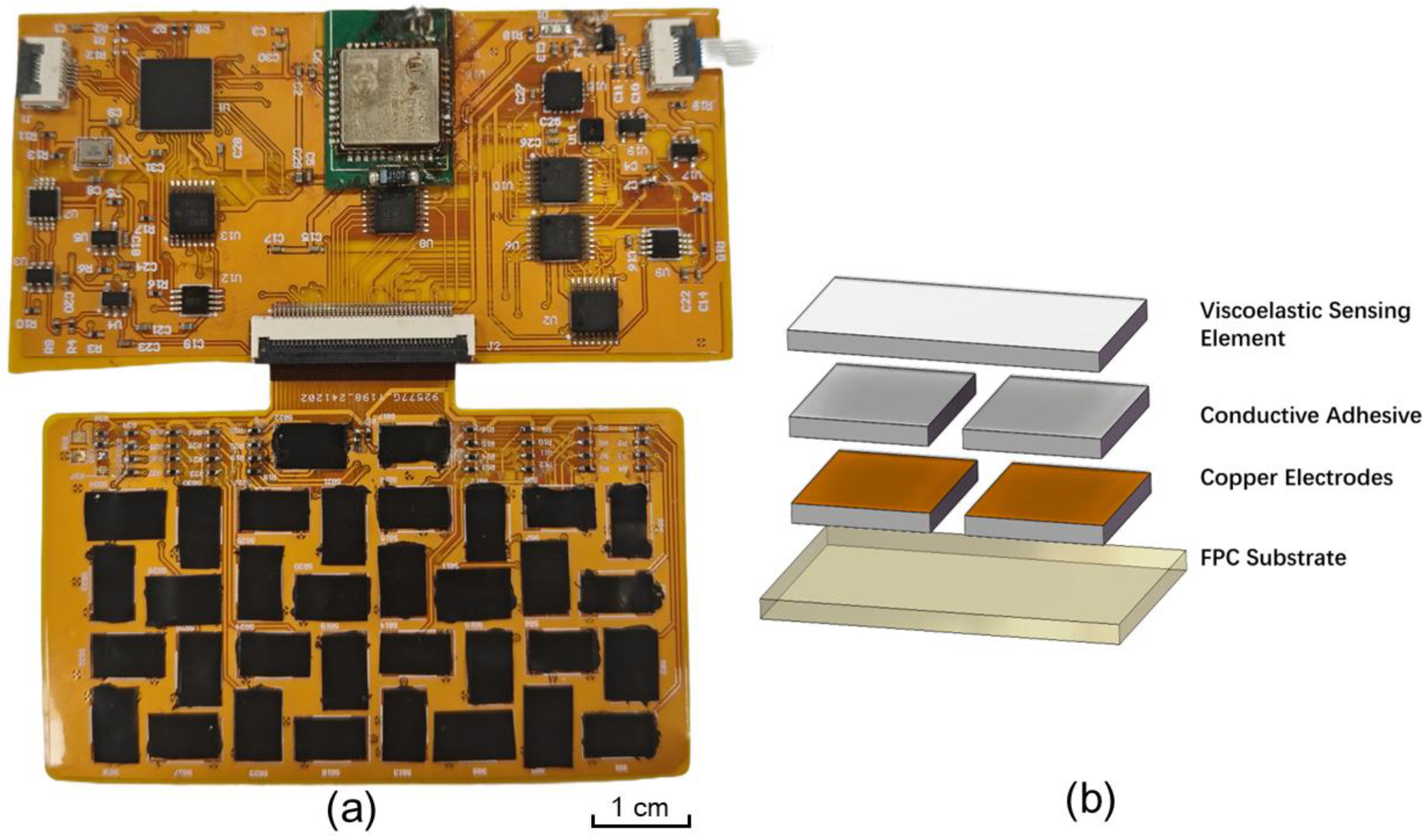 Sensors 26 01559 g002 Sensors 26 01559 g002