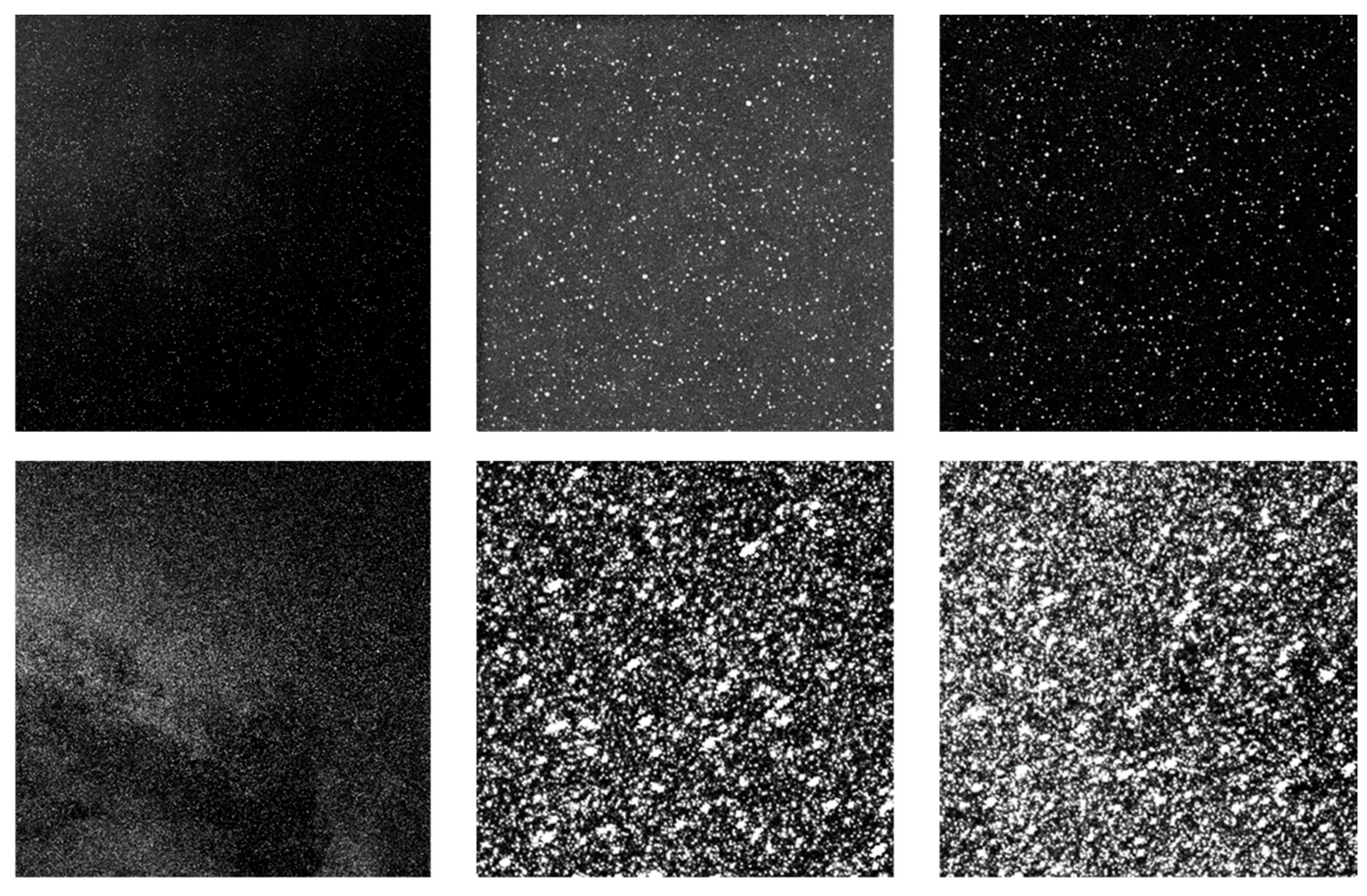 Sensors 26 01945 g014 Sensors 26 01945 g014