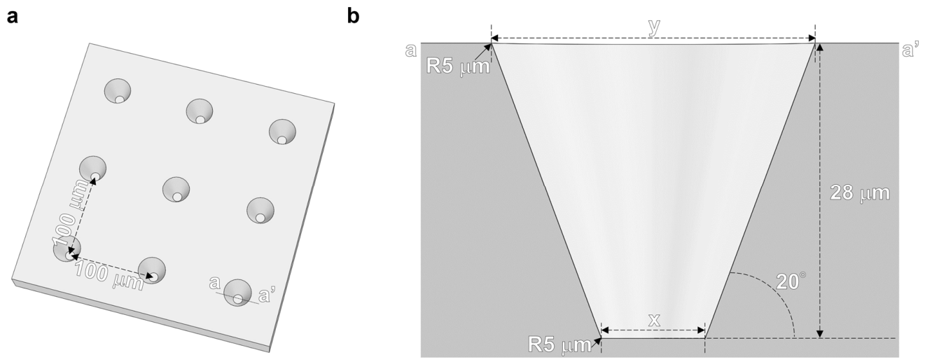 Sensors 26 02687 g002