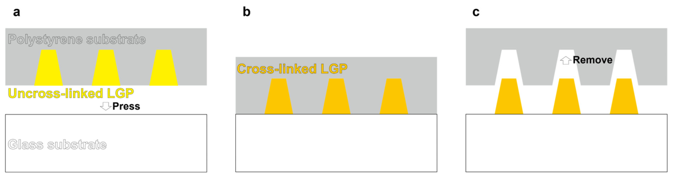 Sensors 26 02687 g003