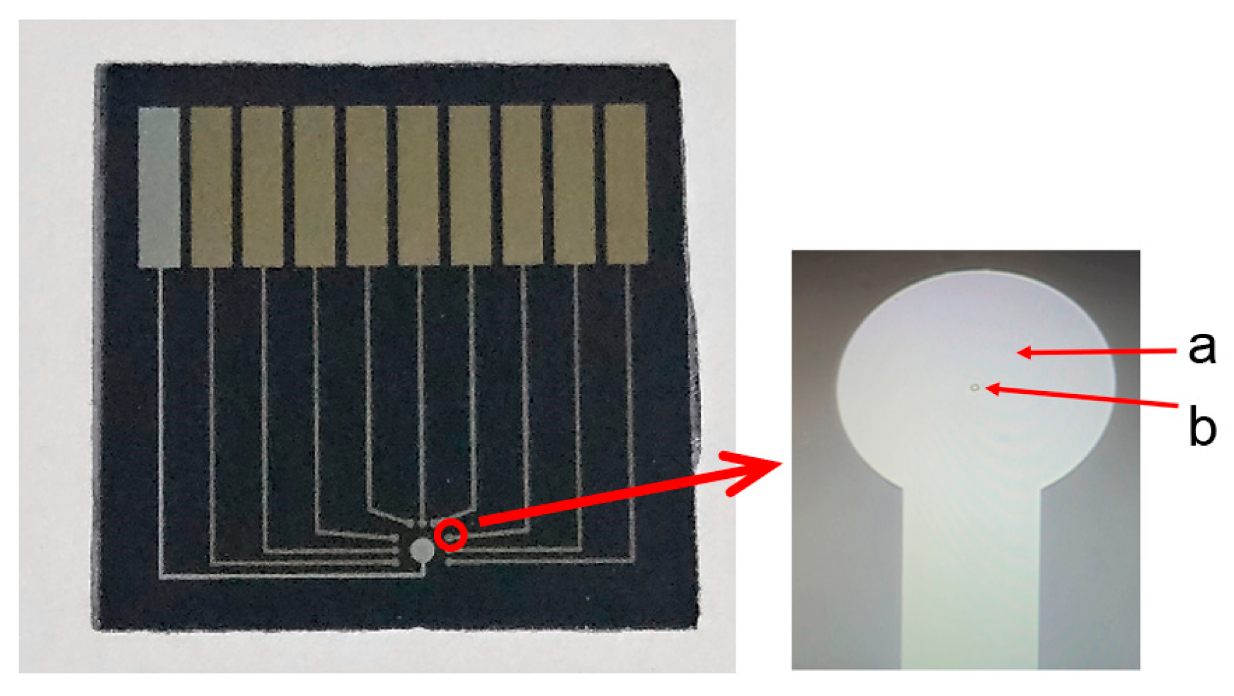 Sensors 26 03003 g003