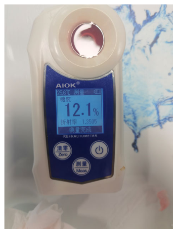 Sensors 26 04000 g006 Sensors 26 04000 g006