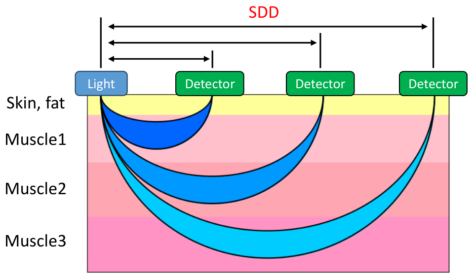 Sensors 26 04172 g001