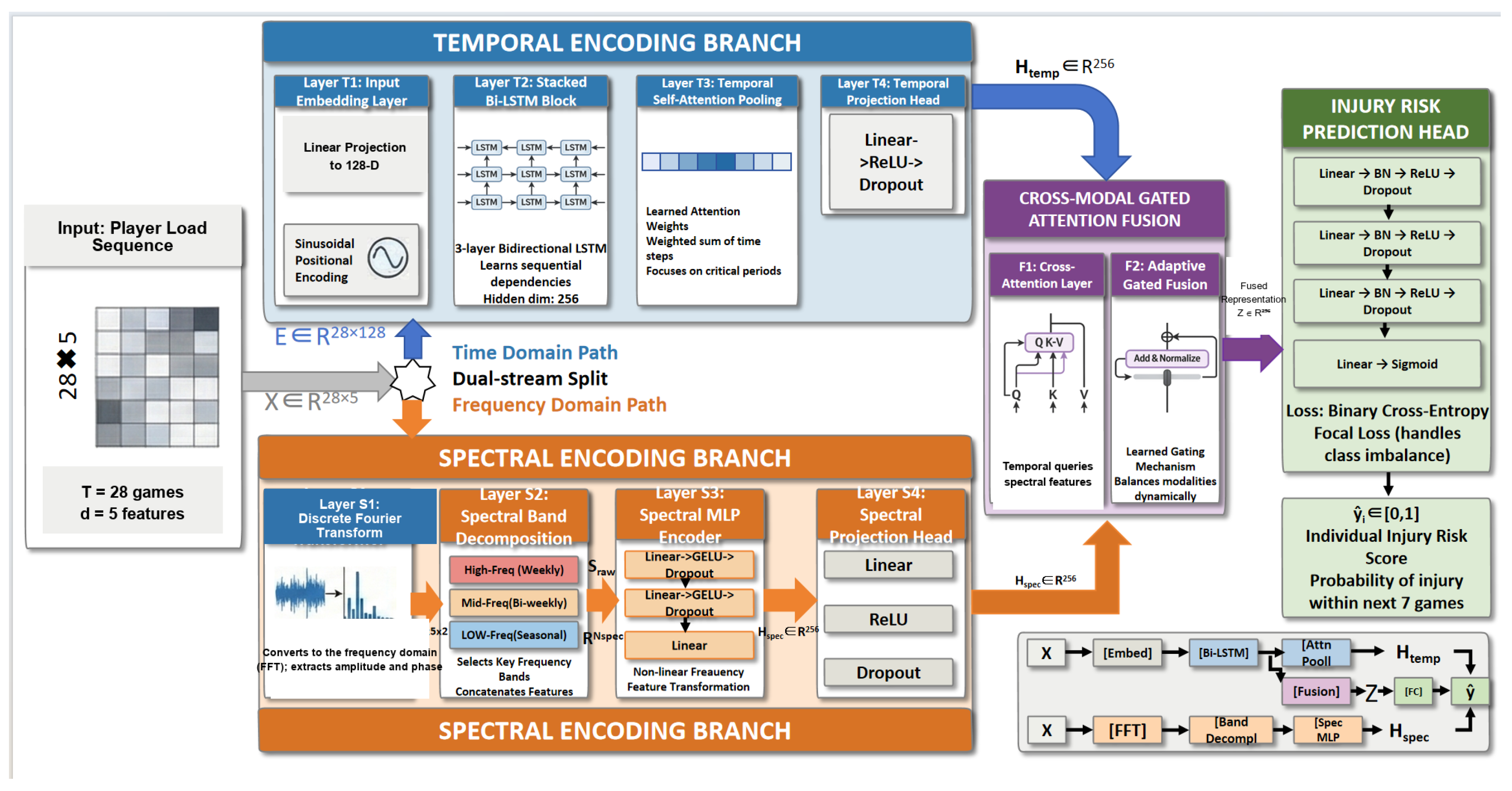 A Frequency-Aware Dual-Stream Deep Learning Framework for Athlete ...