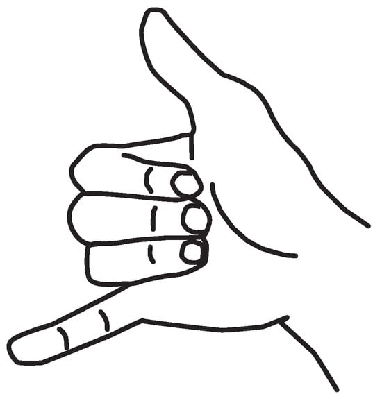 Real-Time Sign Language Interpretation via Customized Sign Language ...