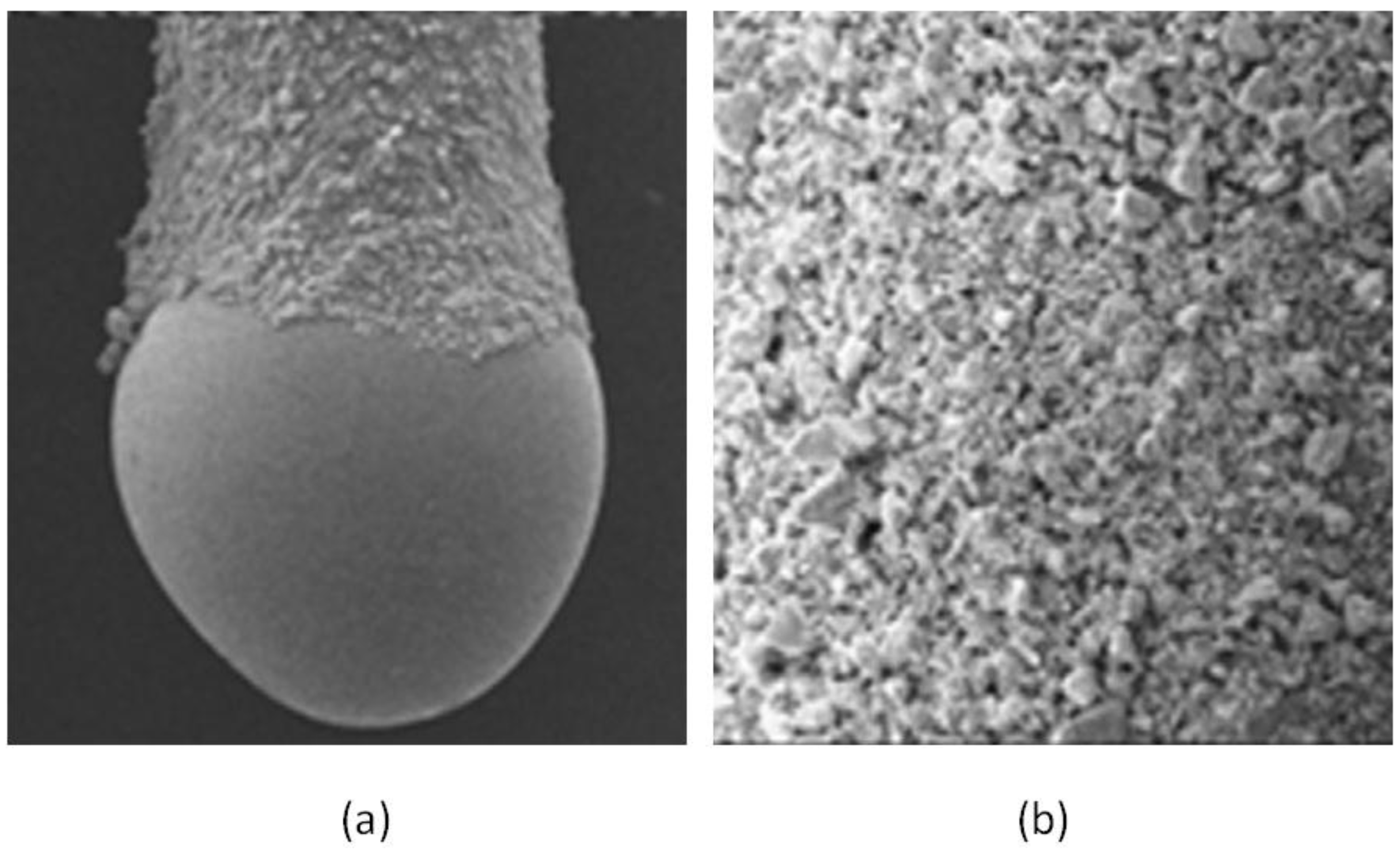 Separations 04 00006 g001