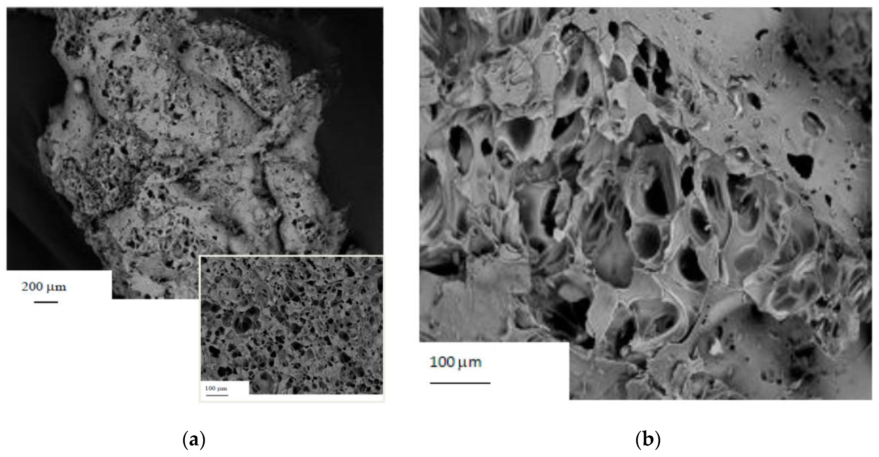 Separations 04 00025 g001