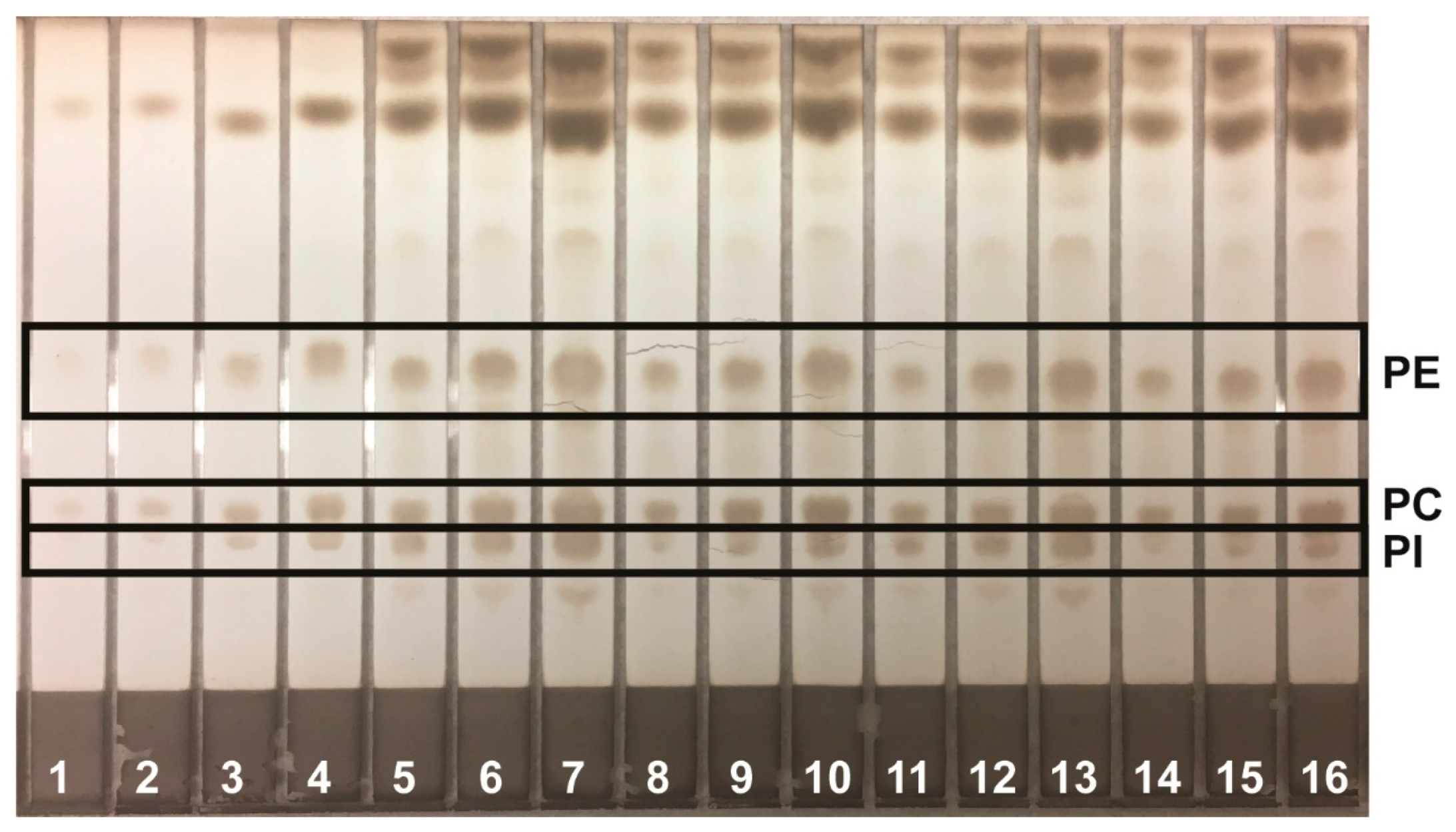 Separations 05 00006 g001