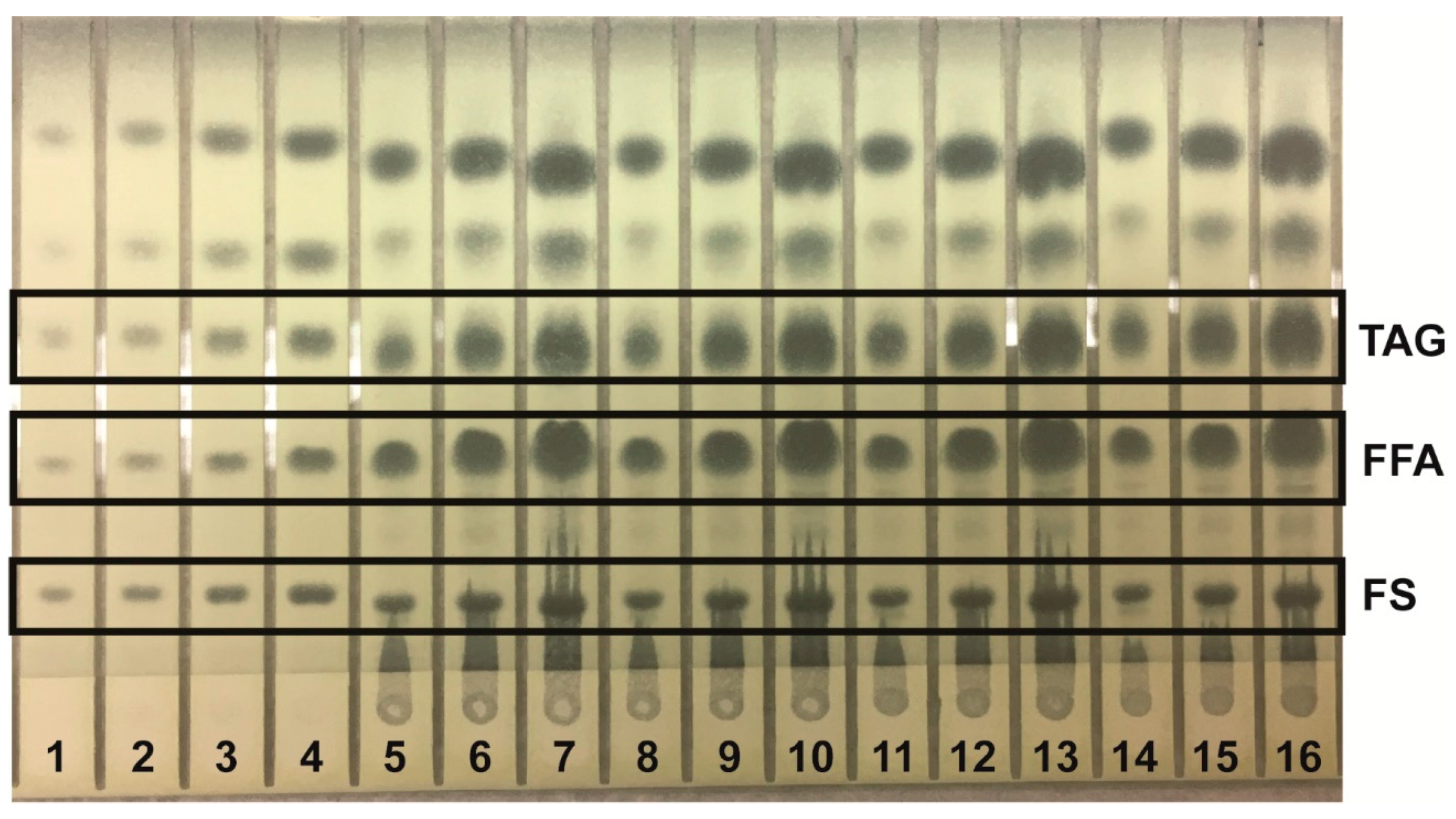 Separations 05 00006 g002
