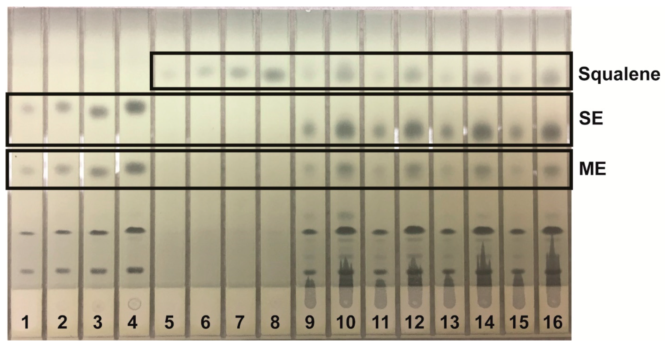 Separations 05 00006 g003