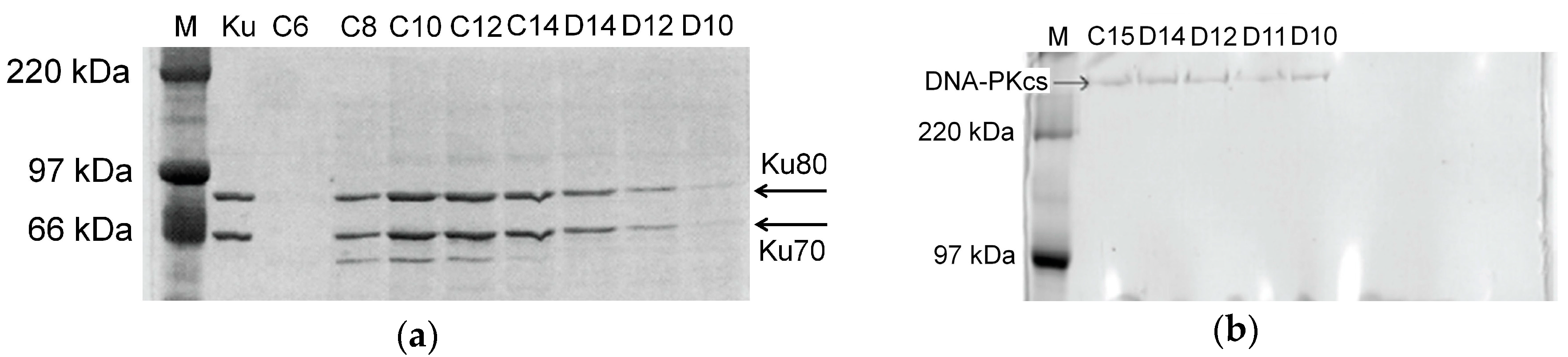Separations 05 00011 g001