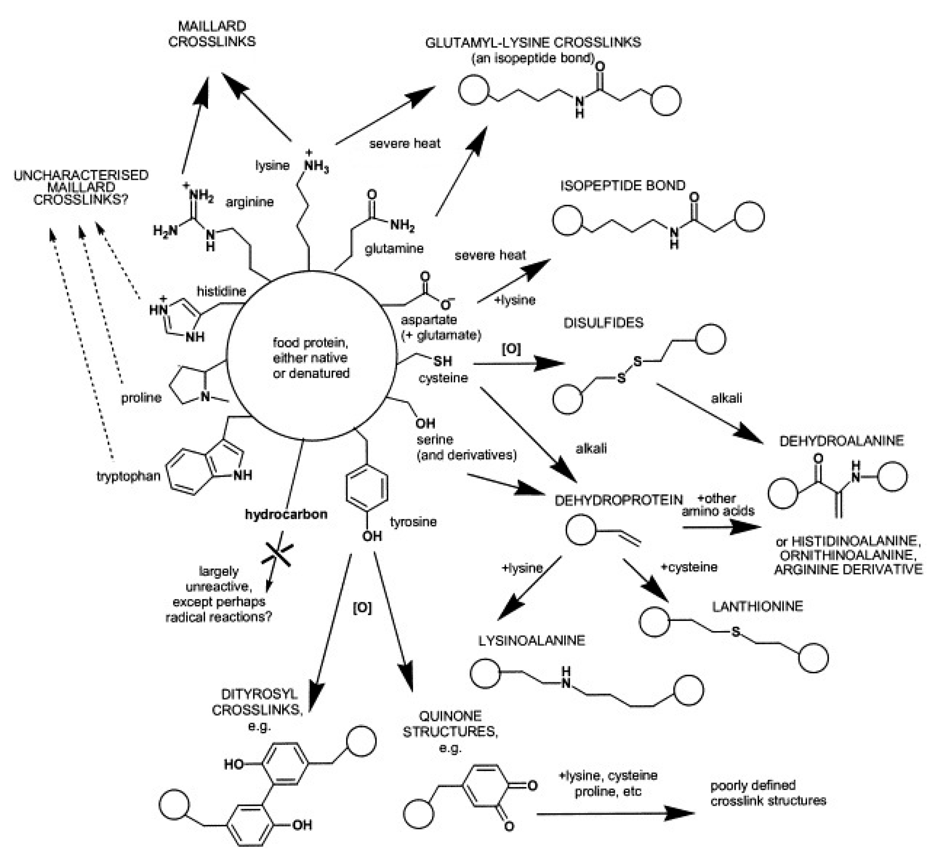 Separations 05 00014 g003