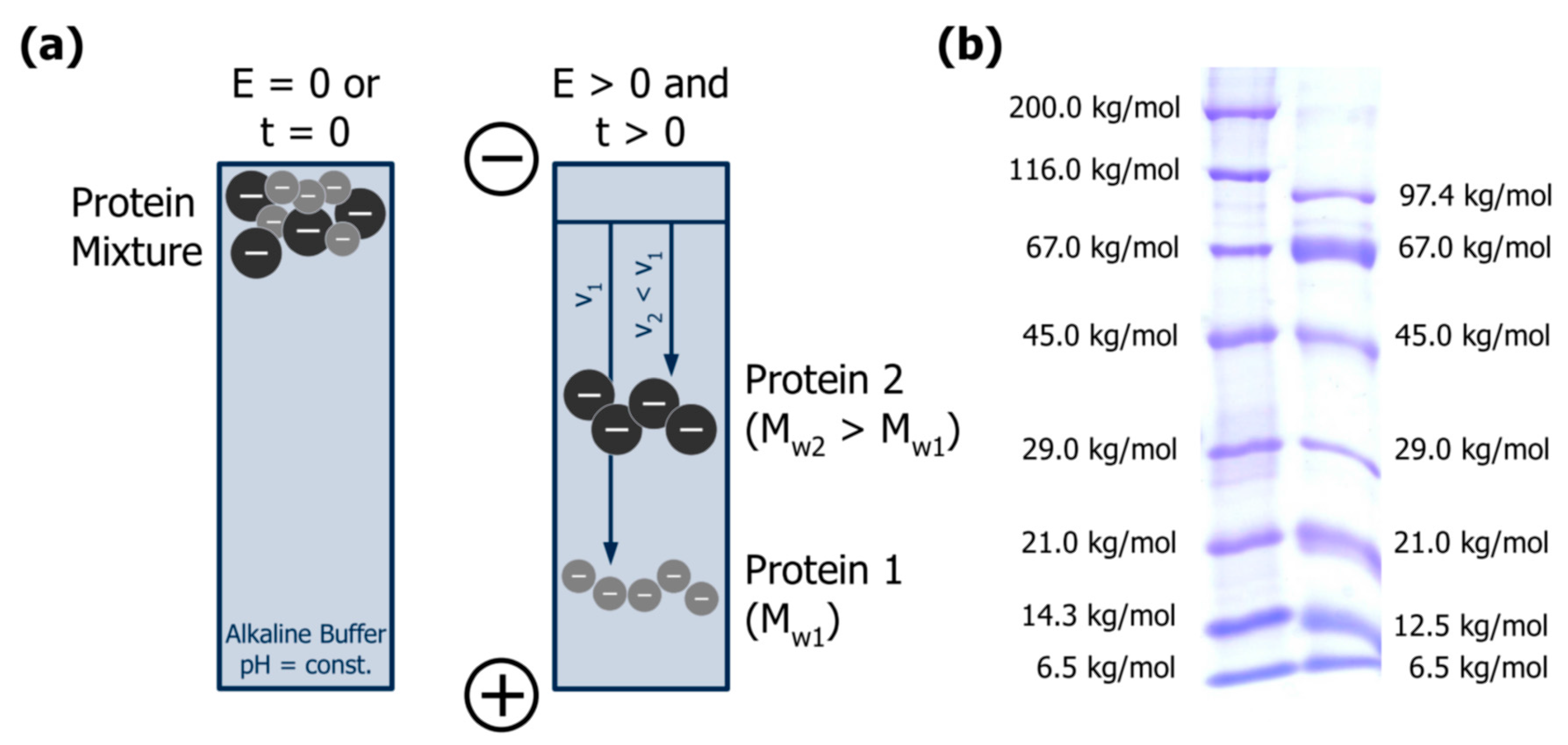 Separations 05 00014 g004